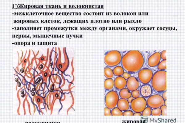 Что за приложение кракен